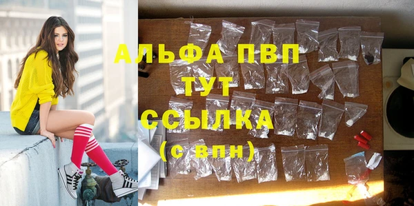 соль ск Алзамай