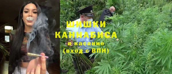 соль ск Алзамай