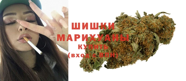 сатива Осташков